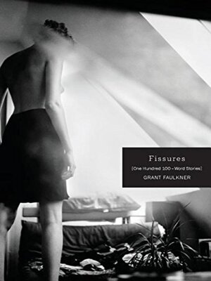 cover image of Fissures